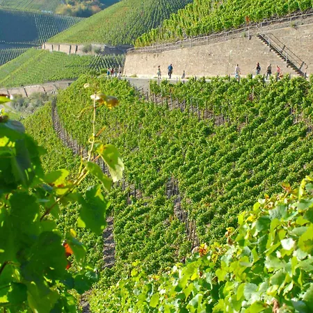 Апартаменты Maare *